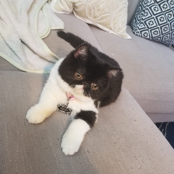 Meet your Posh ambassador, Gina - Picture 2 of 12